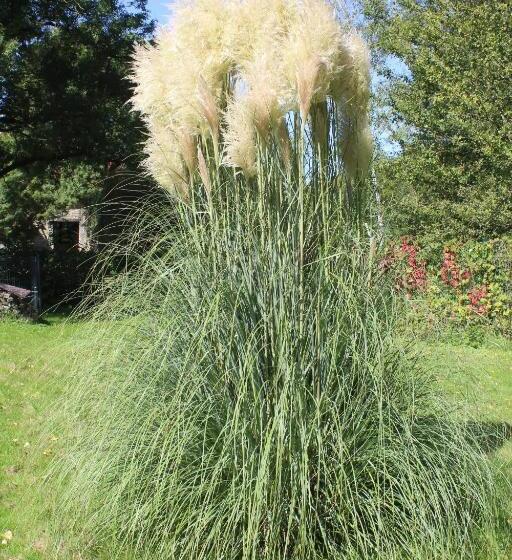 펜션 Angèle & Auguste