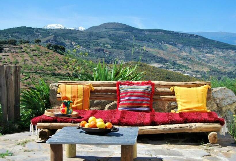 Пансион Cortijo Los Maximos