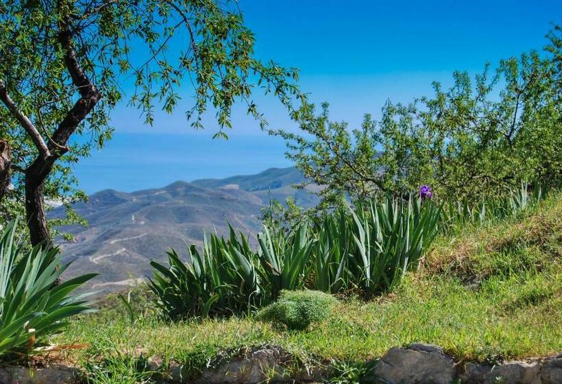 Пансион Cortijo Los Maximos