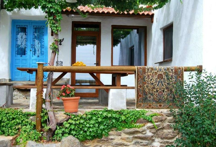 Пансион Cortijo Los Maximos