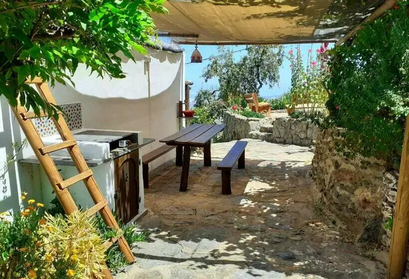 ペンション Cortijo Los Maximos