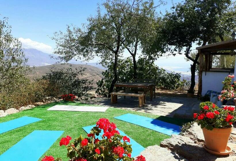 Пансион Cortijo Los Maximos