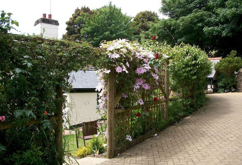 بنسيون Frogwell B&b