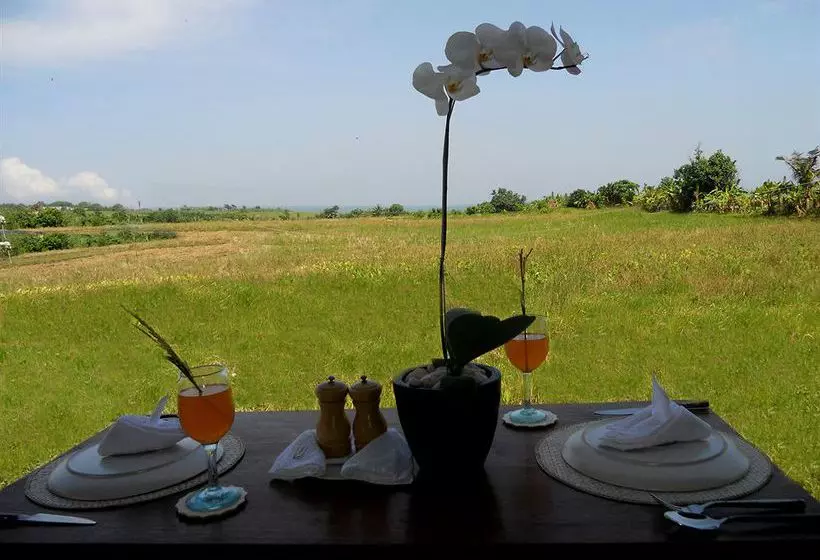 منتجع D'sawah Villas