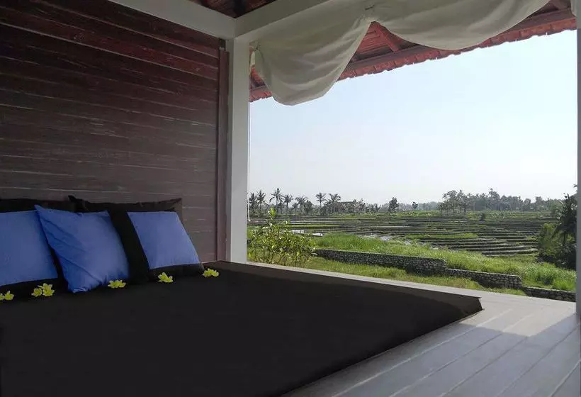 منتجع D'sawah Villas