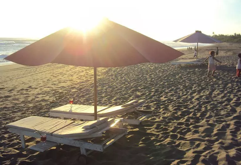 منتجع D'sawah Villas