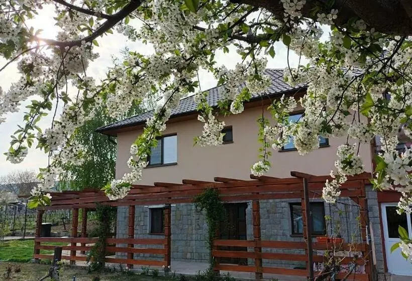 Agropensiunea Alexandra