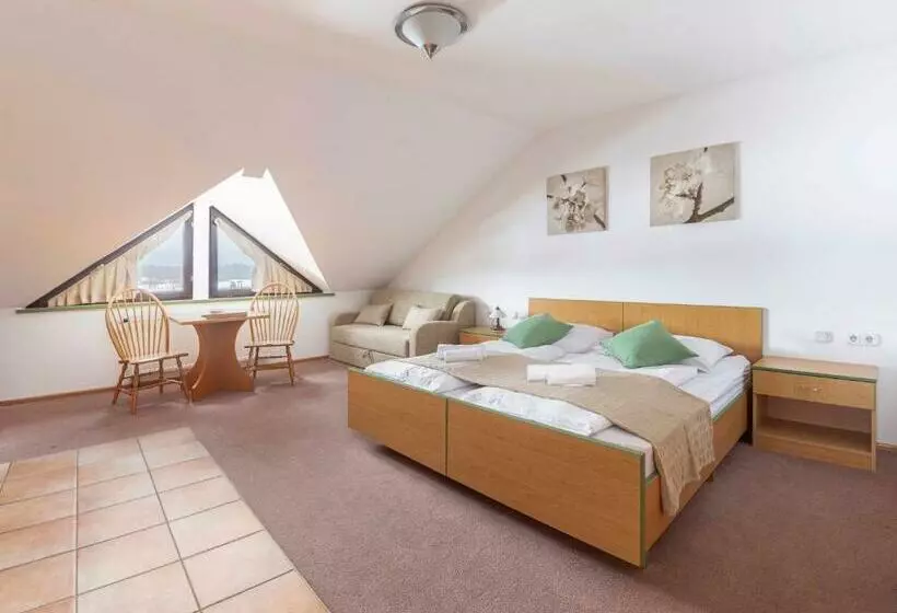 ベッドアンドブレックファースト Apartments Tabor