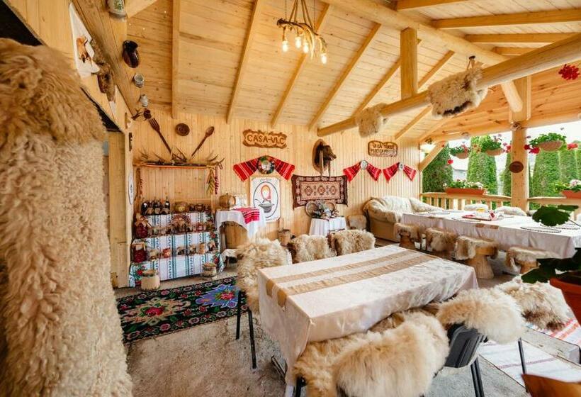 Bed and Breakfast Casa Vlc Punct Gastronomic Local Bilbor