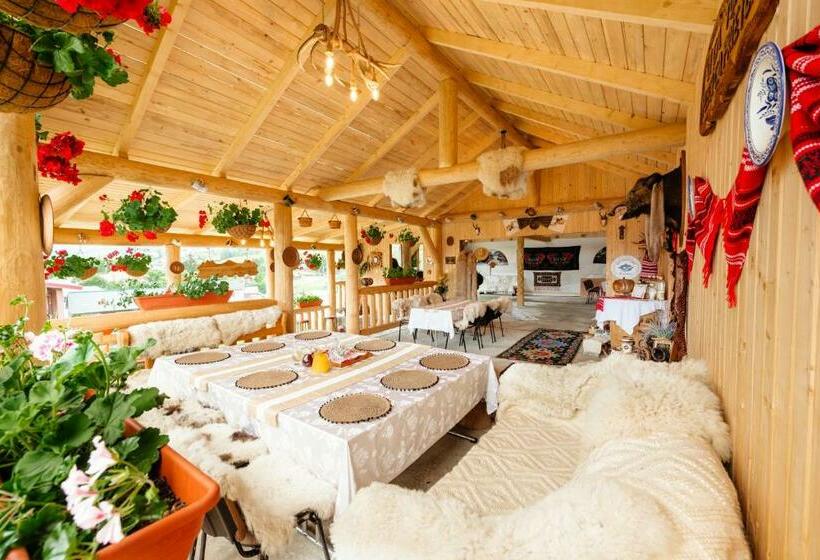 Bed and Breakfast Casa Vlc Punct Gastronomic Local Bilbor