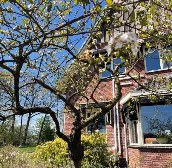 Bed And Breakfast De Beekhoek