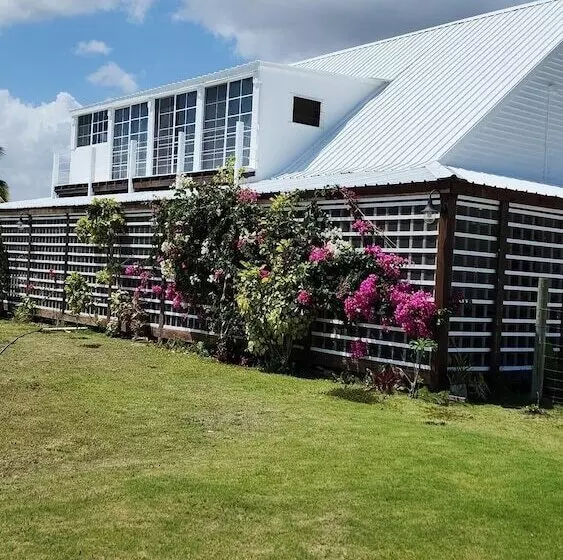 ベッドアンドブレックファースト The Bnb On Triggerfish Close To The Airport