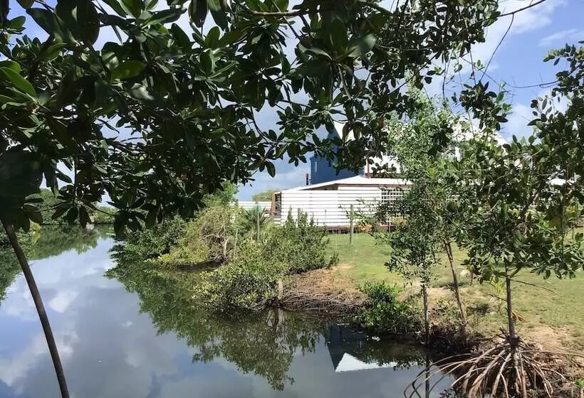 ベッドアンドブレックファースト The Bnb On Triggerfish Close To The Airport