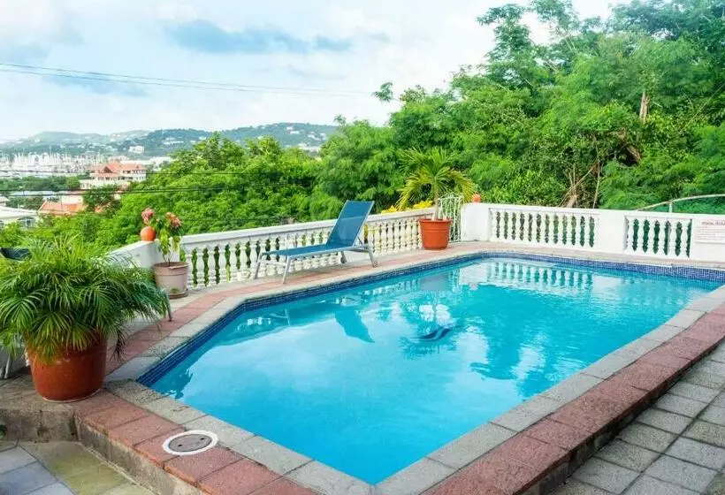 Cleopatra Villas   Sea View