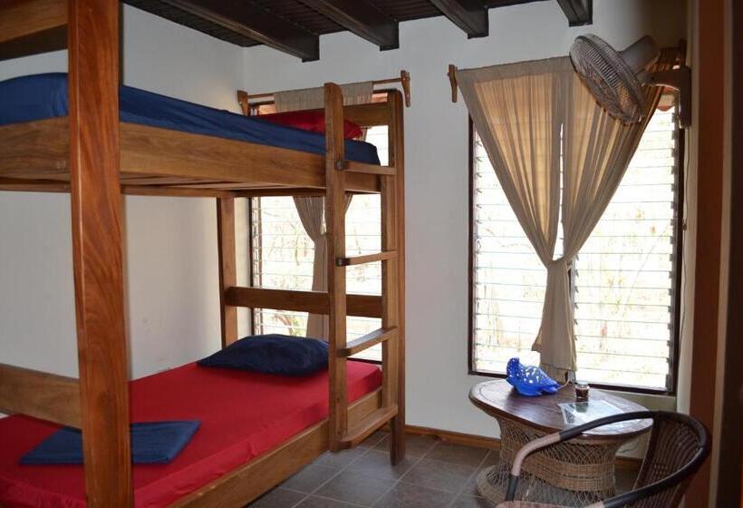 فندق El Castillo Divertido