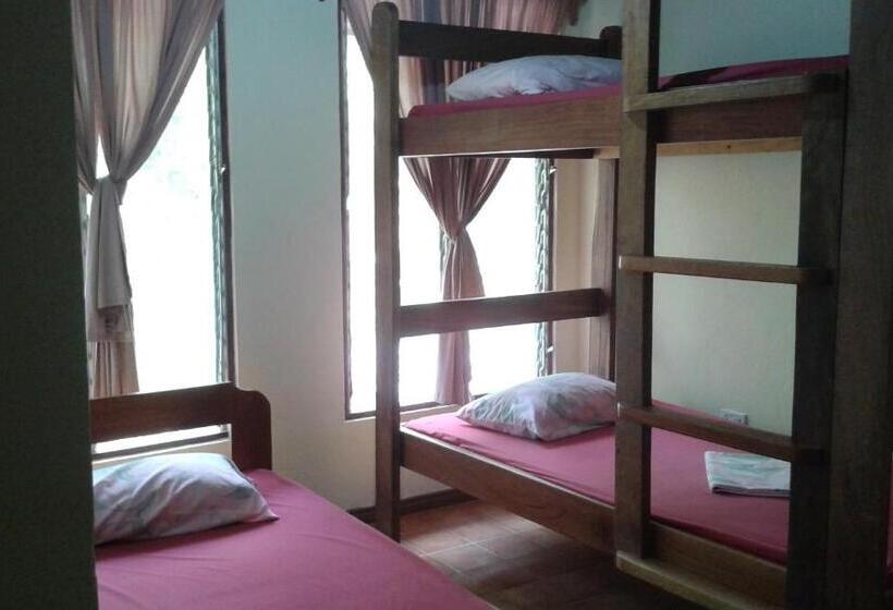 فندق El Castillo Divertido