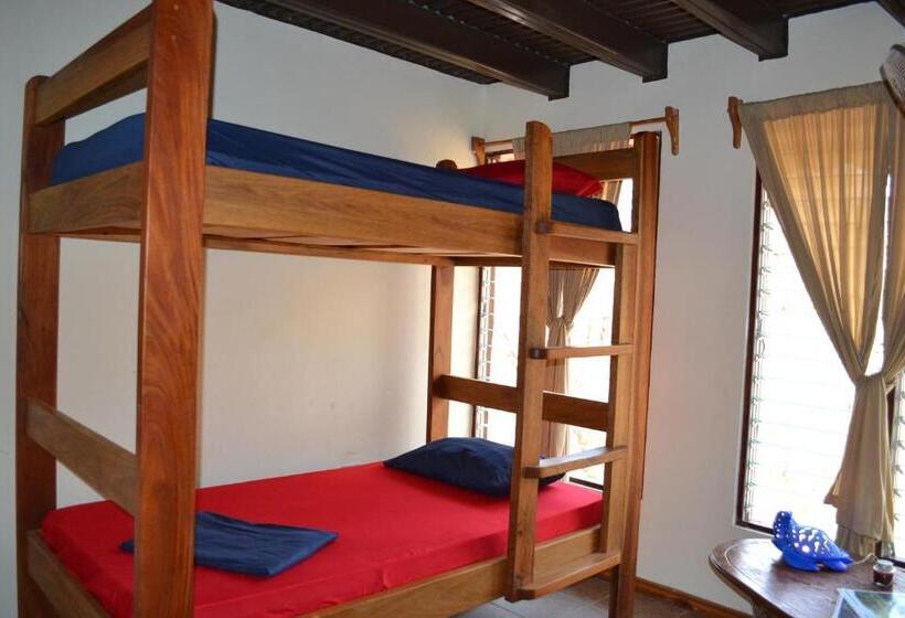 فندق El Castillo Divertido