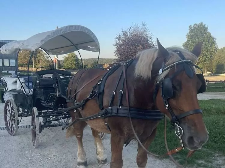 ペンション Gîte Les 27