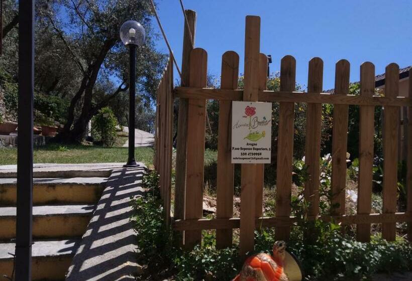 住宿加早餐 Cà Di Toni