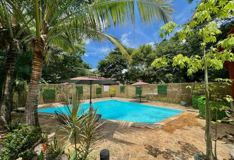 مبيت وإفطار Casa Tropical Playa Grande