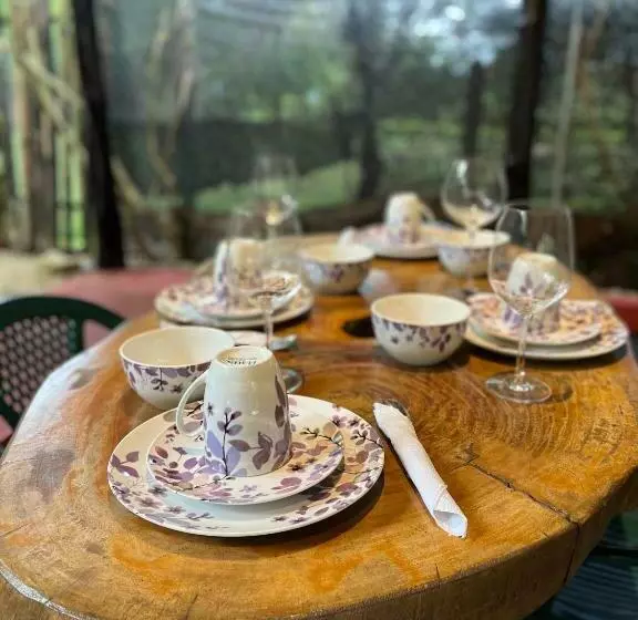 تختخواب و صبحانه Casa Tropical Playa Grande