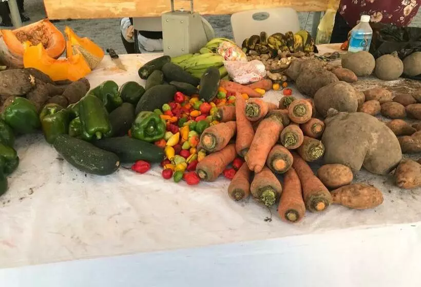 تختخواب و صبحانه Compassionate Touch Spa & Accommodation