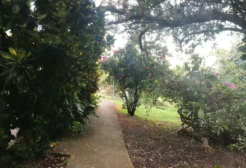 تختخواب و صبحانه Compassionate Touch Spa & Accommodation