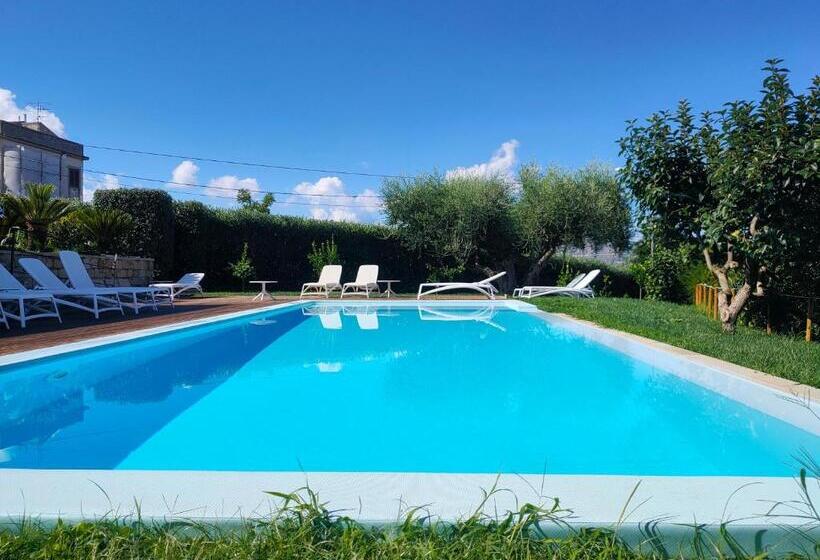 Отель Alimunera