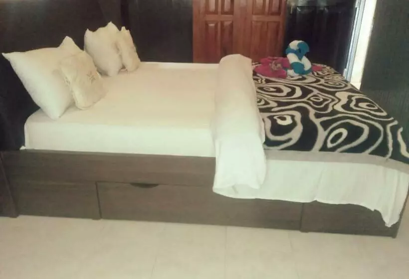Pensió Ama Guest