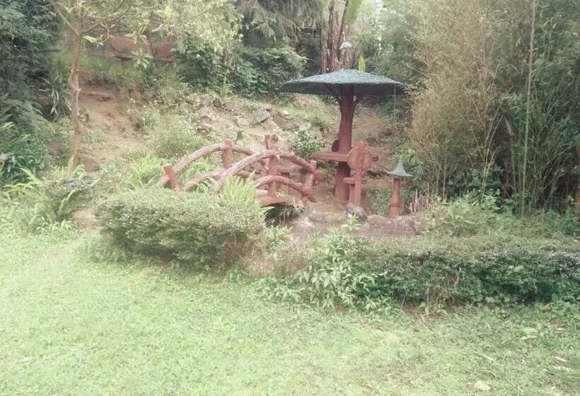 Pensió Ama Guest