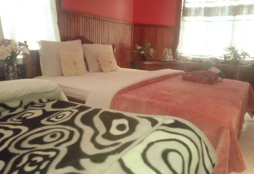 Pensió Ama Guest