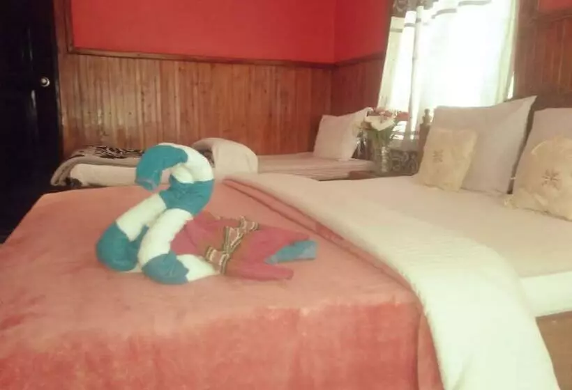 Pensió Ama Guest