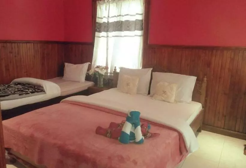 Pensió Ama Guest