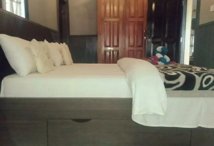 Pensió Ama Guest