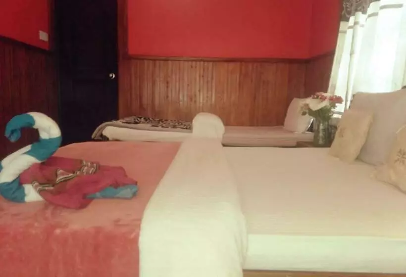 Pensió Ama Guest
