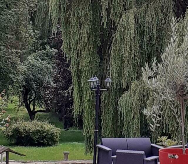 膳宿费 Le Domaine D élise Chambres Et Table D Hôtes Vosges