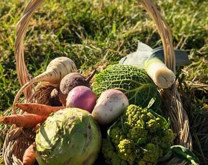 Majatalo Chambre D Hôtes Privative Au Creux Du Nid