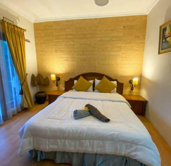 פנסיון Kost Studio 62