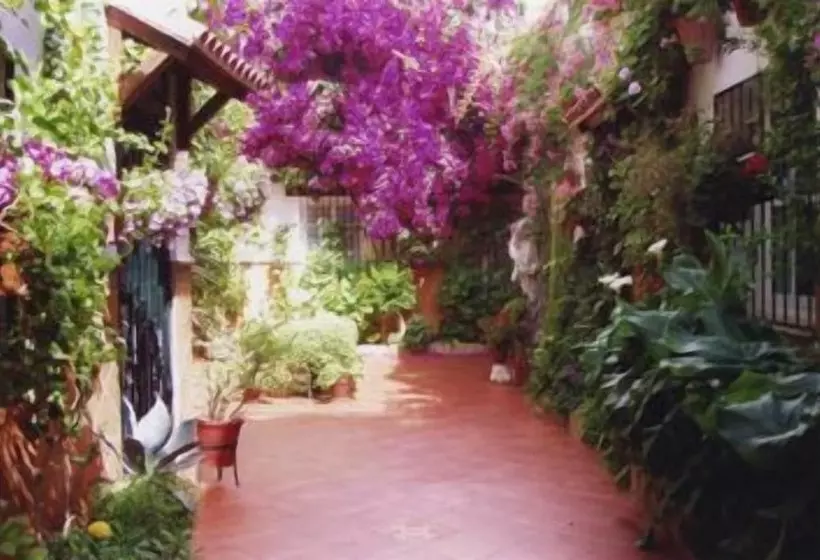 Apartamentos Embrujo De Azahar