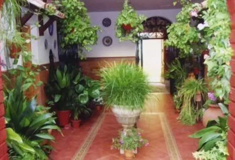 Apartamentos Embrujo De Azahar