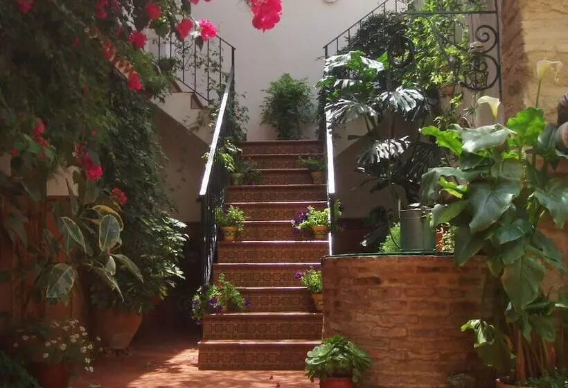 Apartamentos Embrujo De Azahar