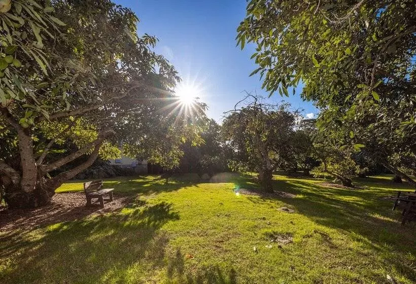 Bed and Breakfast Camelot Boutique Accommodation