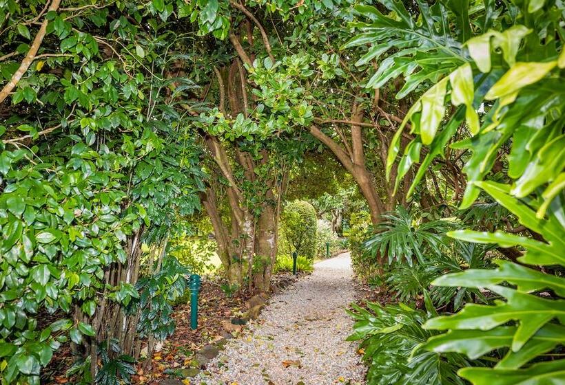 مبيت وإفطار Camelot Boutique Accommodation