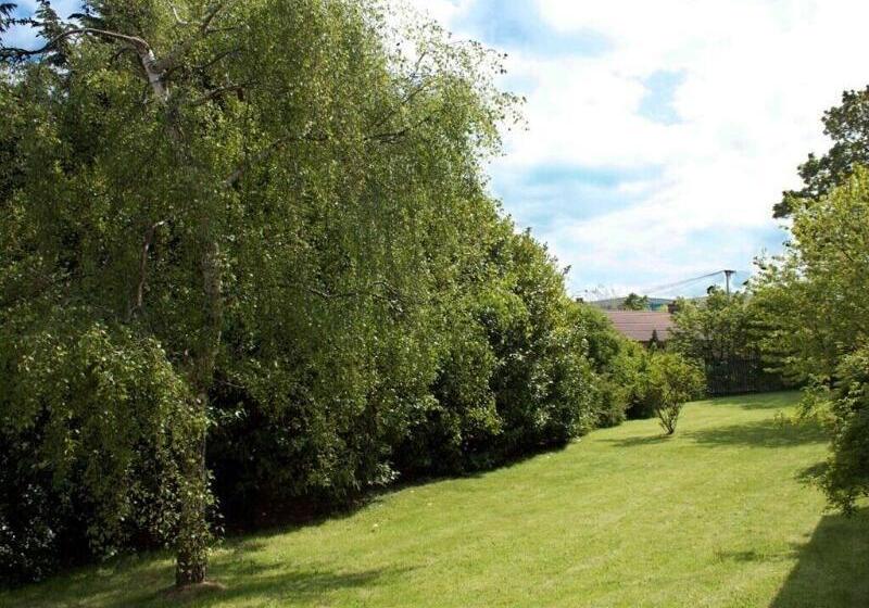 مبيت وإفطار The Liver View