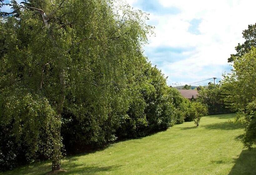 مبيت وإفطار The Liver View