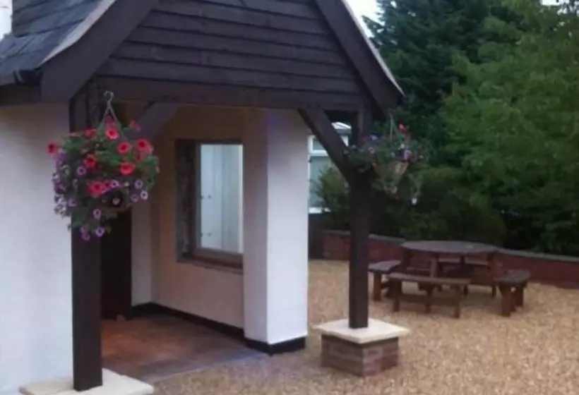 ベッドアンドブレックファースト The Liver View