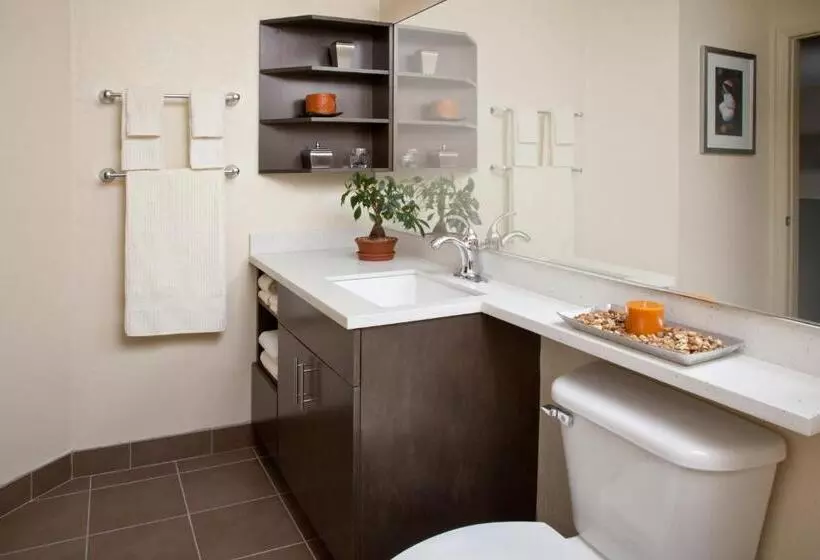 酒店 Candlewood Suites San Antonio Airport, An Ihg