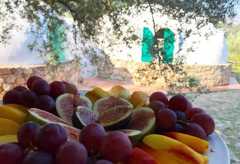 Отель Giardino Di Sicilia