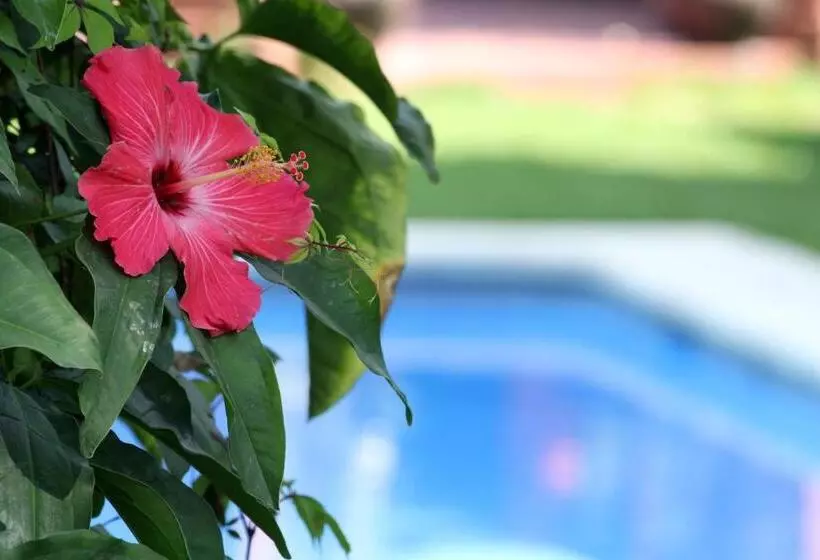 Отель La Villa Real