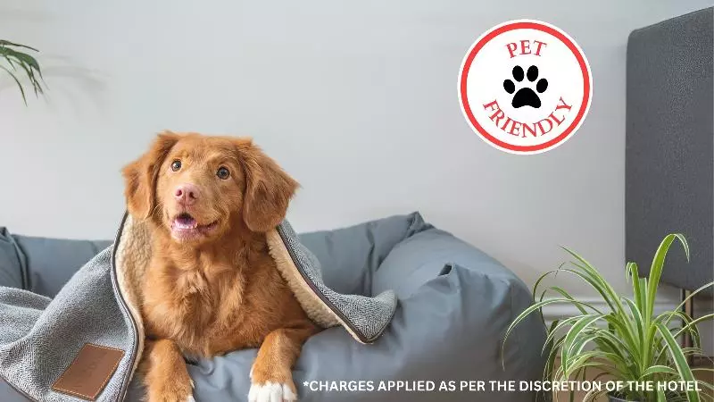 OYO Hotel Palma Real